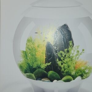 BioOrb Halo 30L Designer Fish Tank